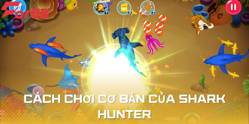 Cách chơi cơ bản của Shark hunter như thế nào?