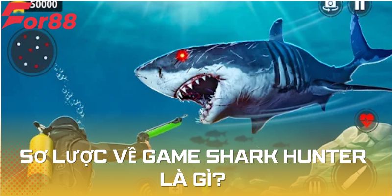 Sơ lược về game Shark Hunter là gì?