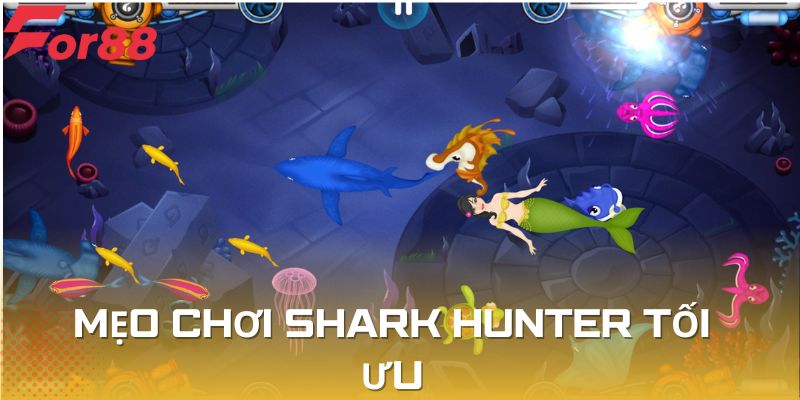 Mẹo chơi Shark Hunter như thế nào là chuẩn và tối ưu
