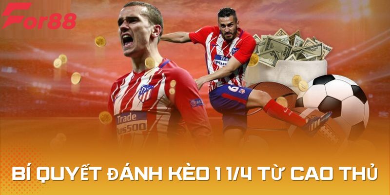Học hỏi và áp dụng bí quyết cược kèo 1 1/4 hiệu quả
